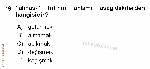 Soru 19