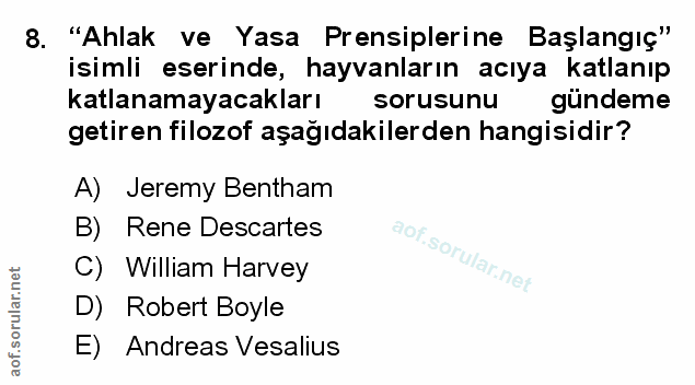Soru 8