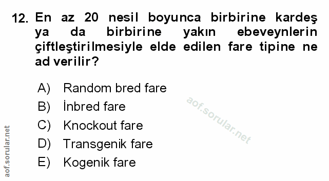 Soru 12