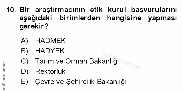 Soru 10