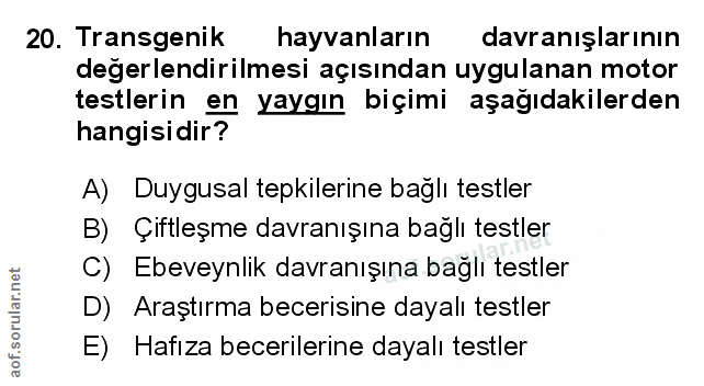 Soru 20