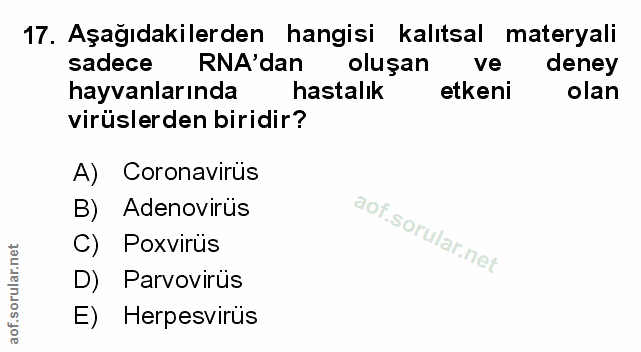 Soru 17