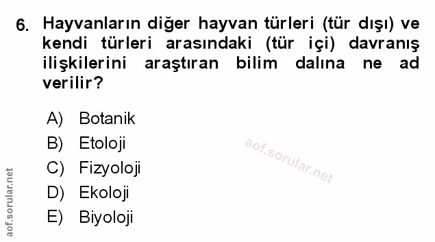 Soru 6