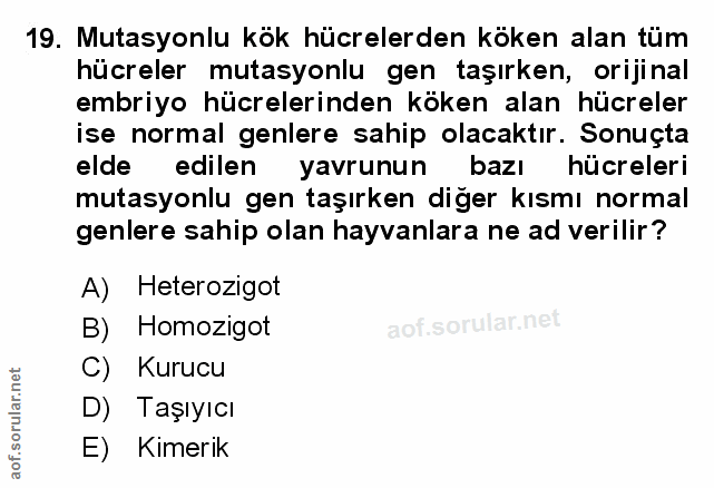 Soru 19