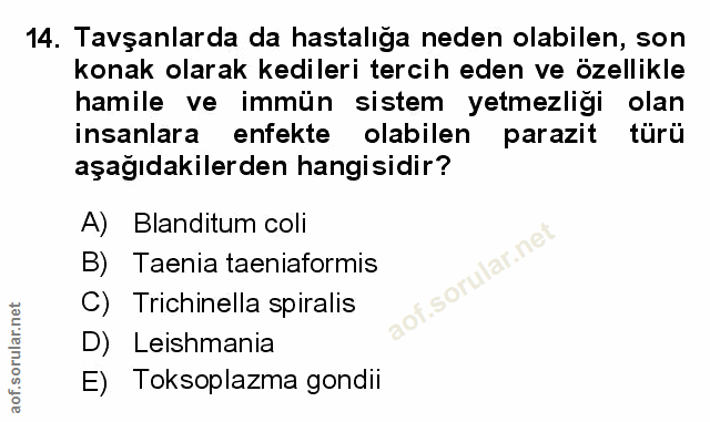 Soru 14