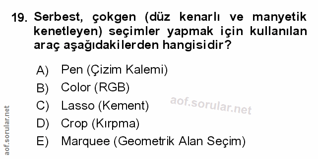 Soru 19