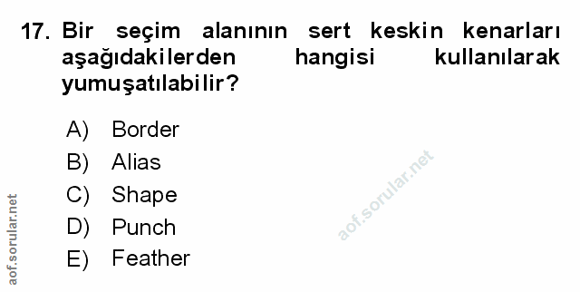 Soru 17