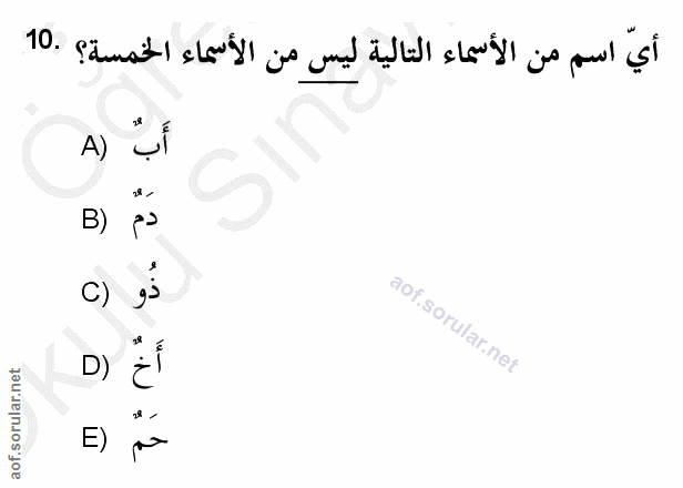 Soru 10