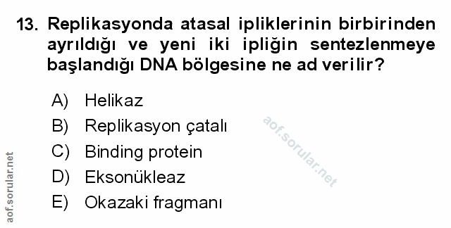 Soru 13