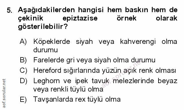 Soru 5