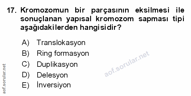 Soru 17