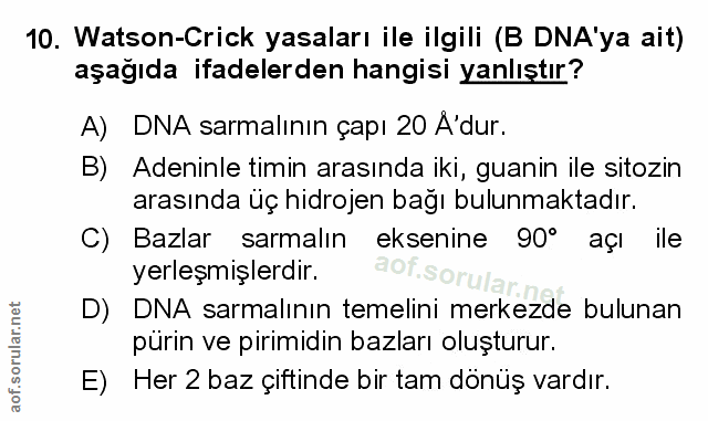 Soru 10
