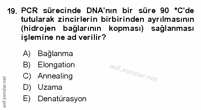 Soru 19