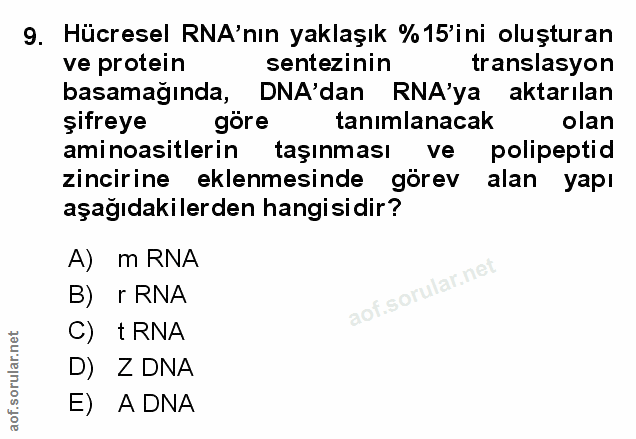 Soru 9