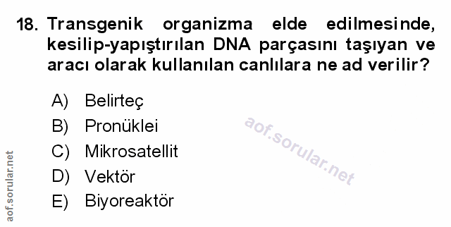 Soru 18