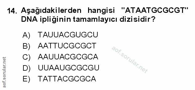 Soru 14