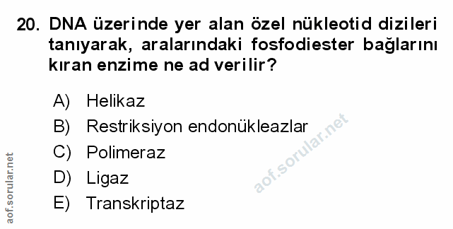 Soru 20