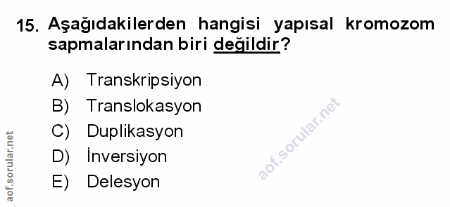 Soru 15