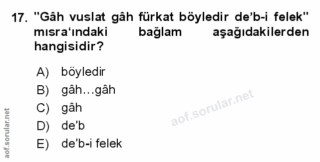 Soru 17