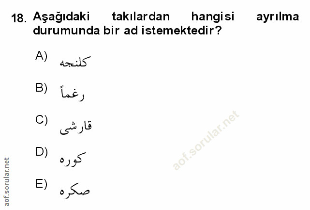 Soru 18