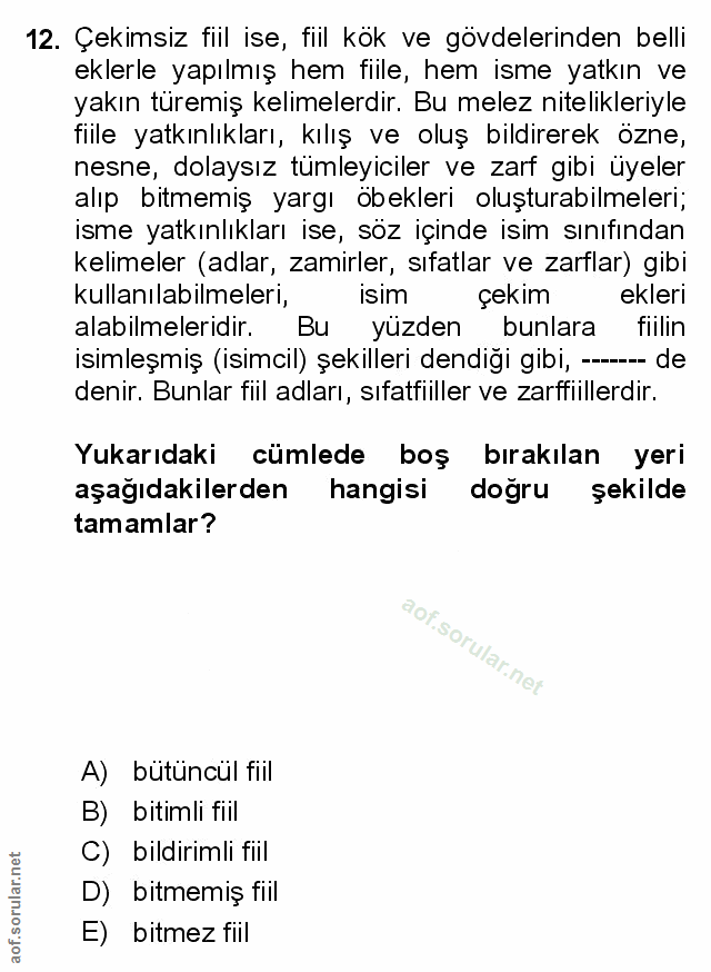 Soru 12