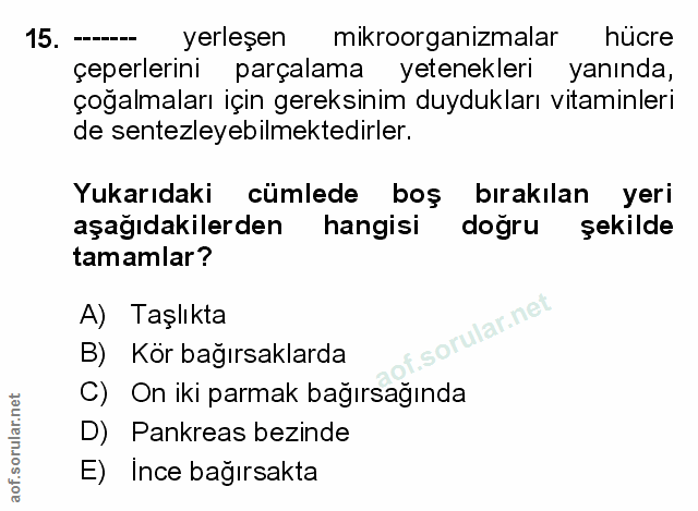 Soru 15