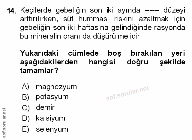 Soru 14