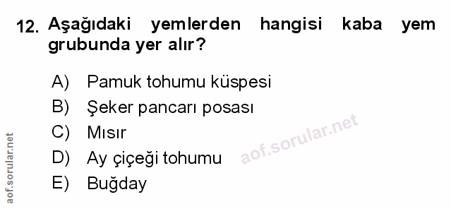 Soru 12