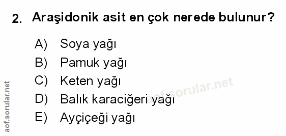 Soru 2