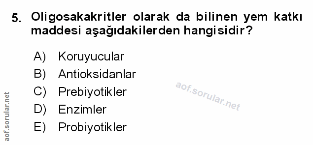 Soru 5