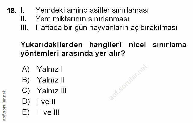 Soru 18