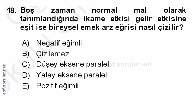 Soru 18