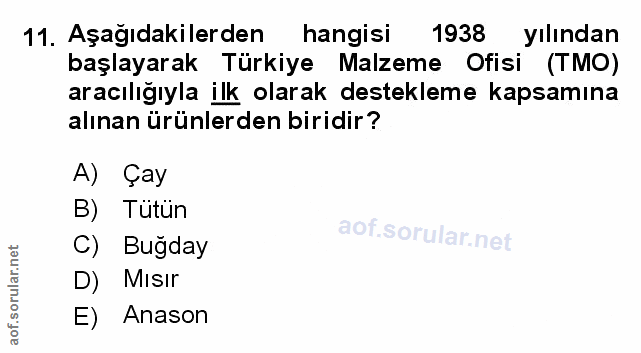 Soru 11