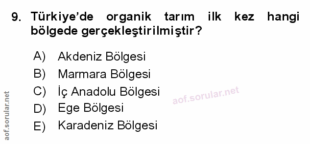 Soru 9
