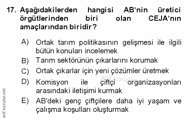 Soru 17