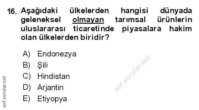 Soru 16