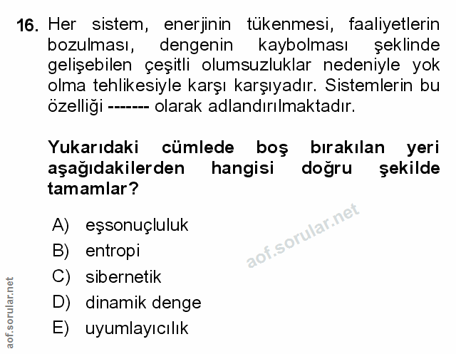 Soru 16
