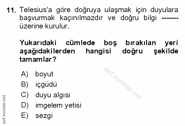 Soru 11
