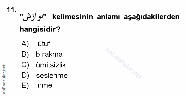 Soru 11