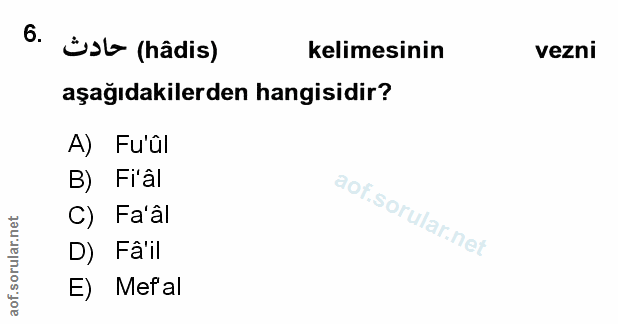 Soru 6