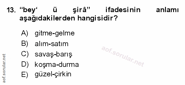 Soru 13