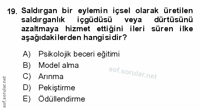 Soru 19