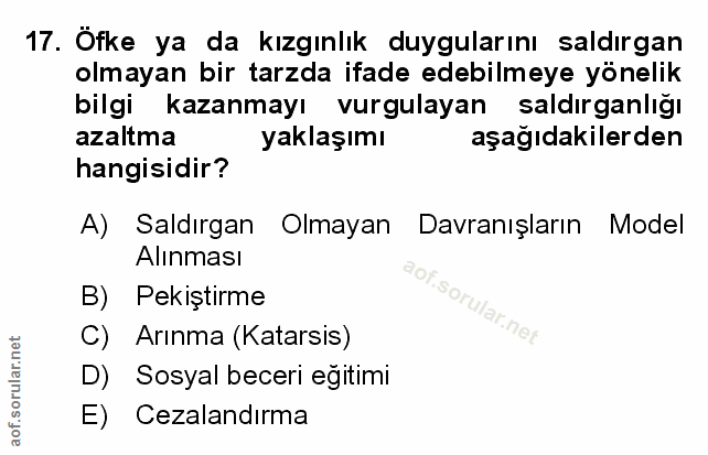 Soru 17