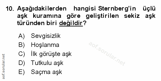 Soru 10