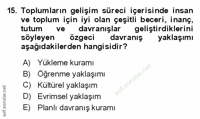 Soru 15