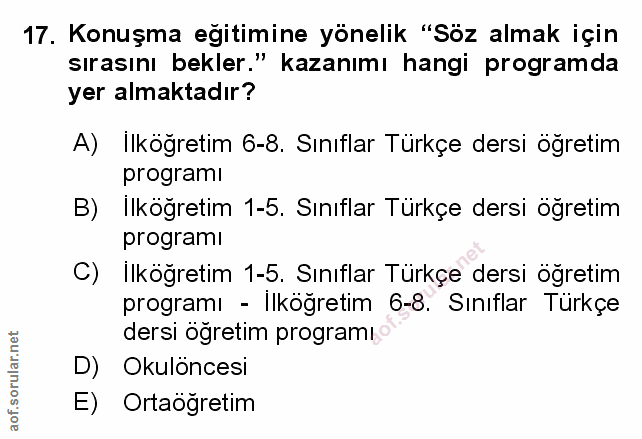 Soru 17