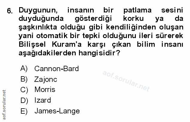 Soru 6