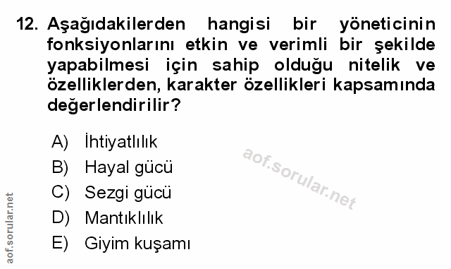 Soru 12