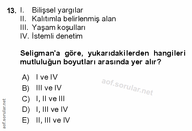 Soru 13