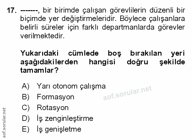 Soru 17